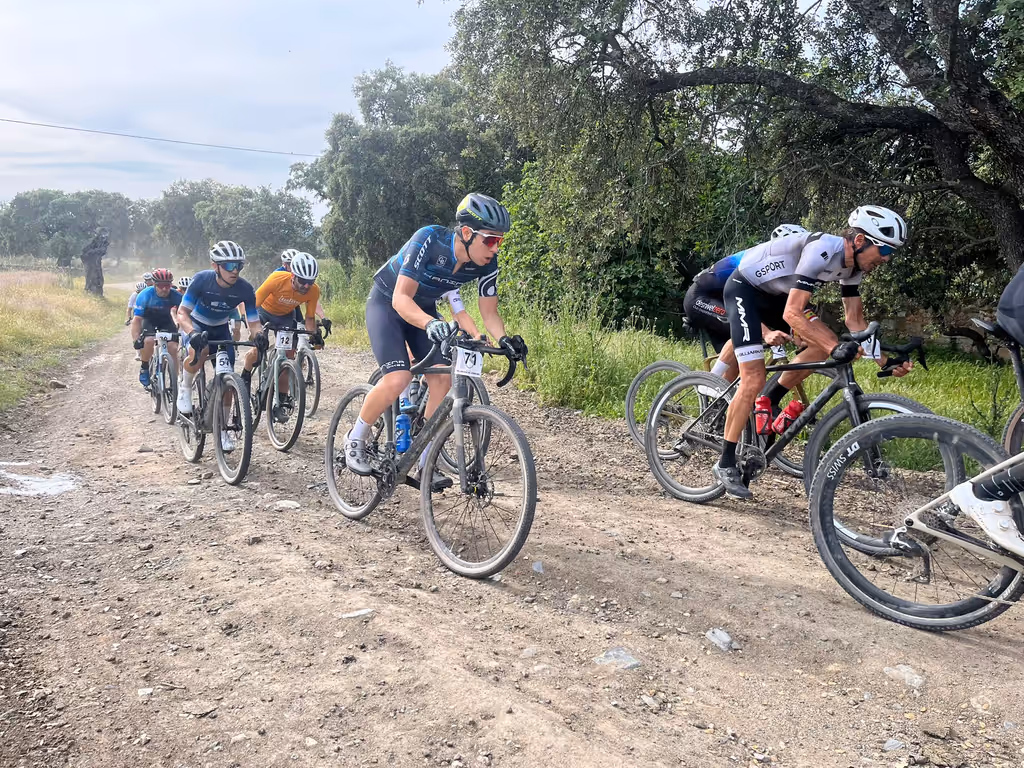 Paisaje Dehesa de Los Pedroches